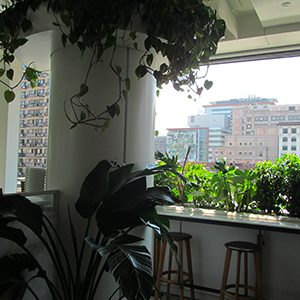 projet213-D-FourSeasons FourSeasons